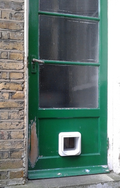 Cat flap in flat door panel