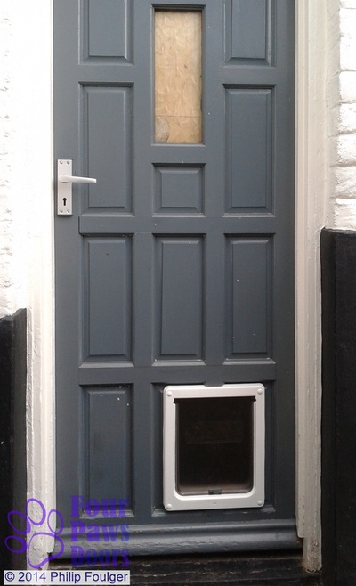 PetMate medium dog door in panelled wooden door