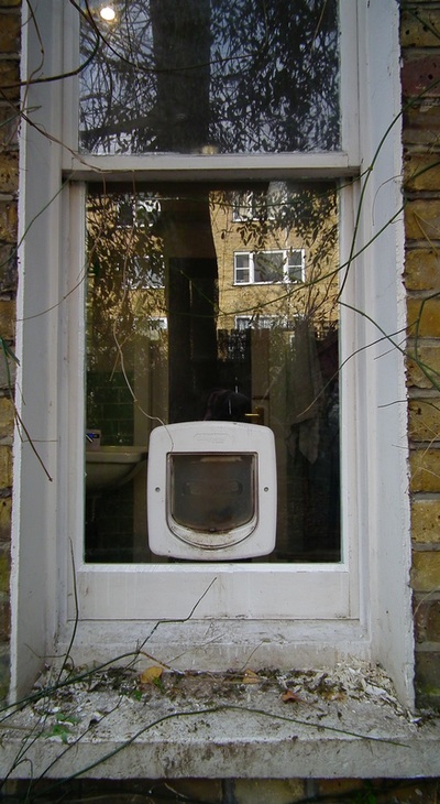 Staywell Deluxe manual cat flap in laminated glass window
