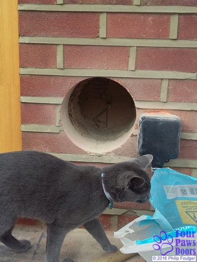 Hole cut through wall for cat flap