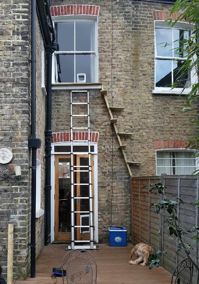 Cat ladder to first floor window