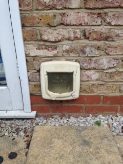 Staywell Deluxe Cat Flap on outside of wall