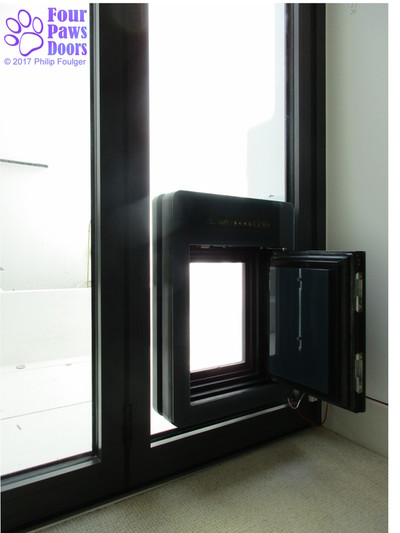 PetWalk medium in aluminium bi-fold doors