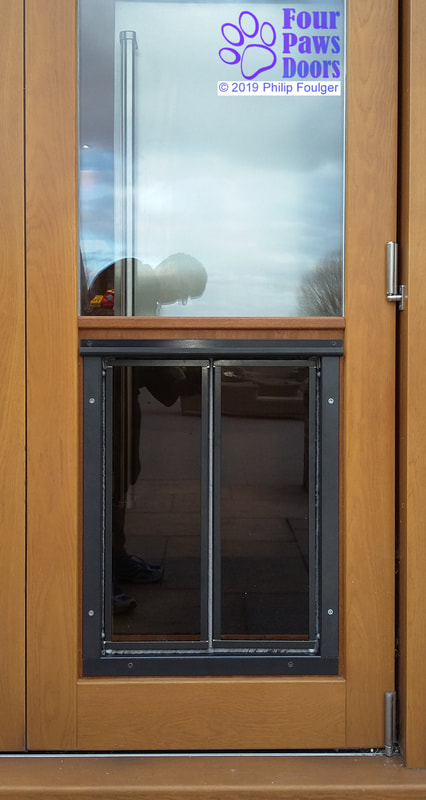 Plexidor extra large dog door in wooden glazed bifold doors