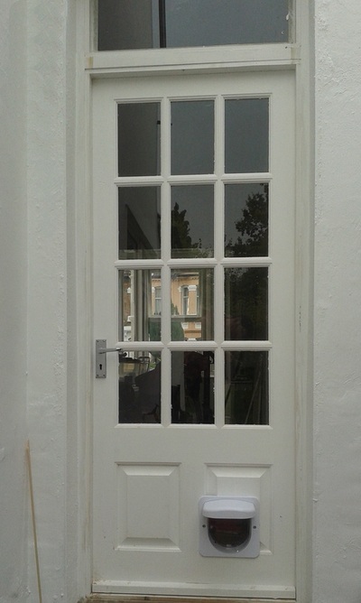 glass back door with cat flap