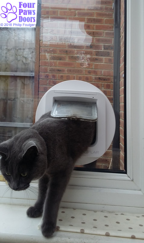 Microchip cat flap in conservatory window