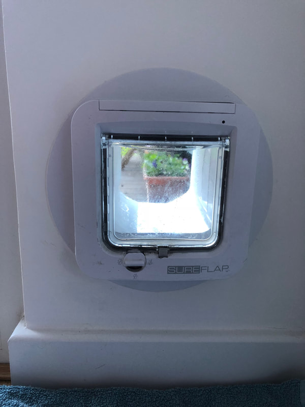 Cat flap mounted too high for cat