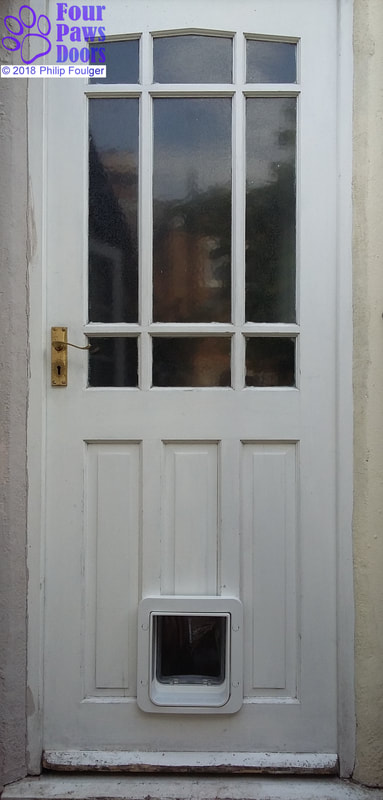 Large cat flap fitted into panelled wooden door