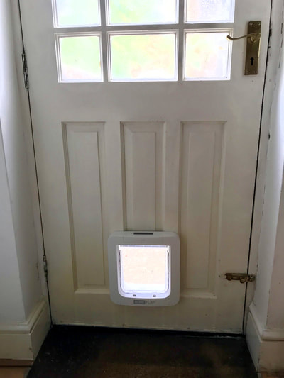 SureFlap microchip Pet Door in panelled wooden door prevents foxes coming in