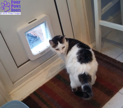 SureFlap Pet Door for large cat