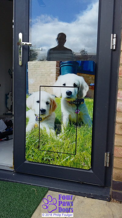 Attractive dog door design