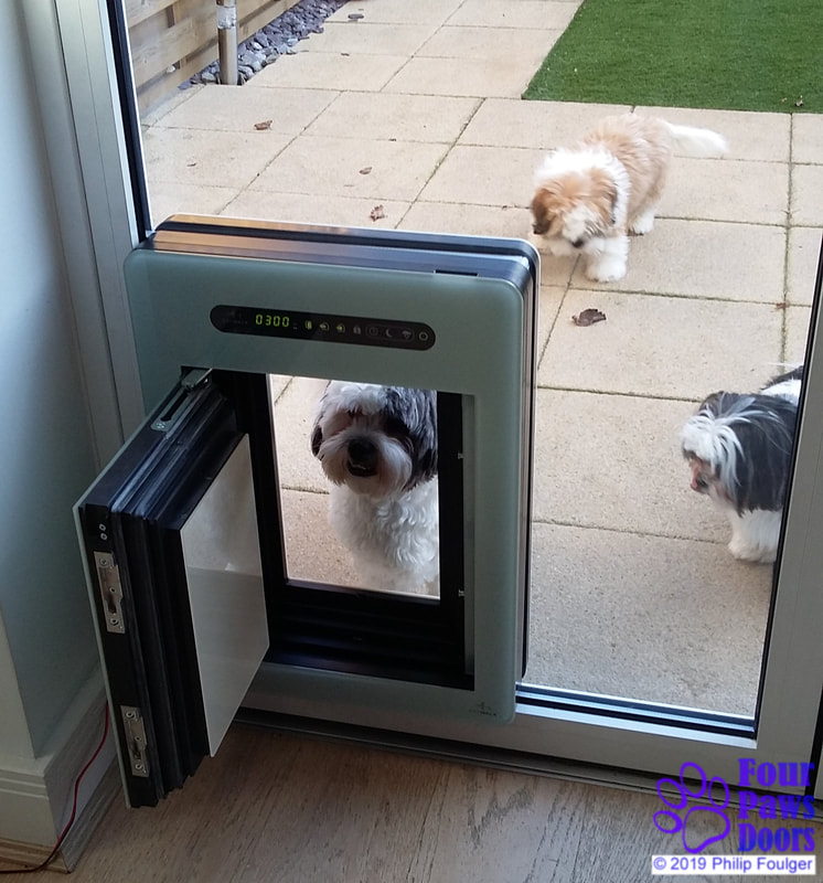 Training dogs to use petWALK pet door