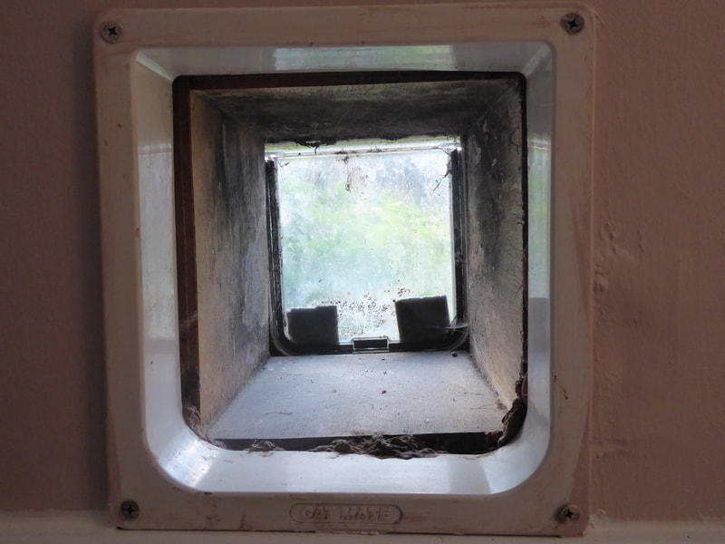 Wooden lining to cat flap in wall