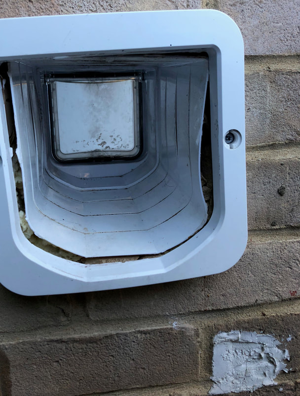 Poor installation of cat flap tunnel
