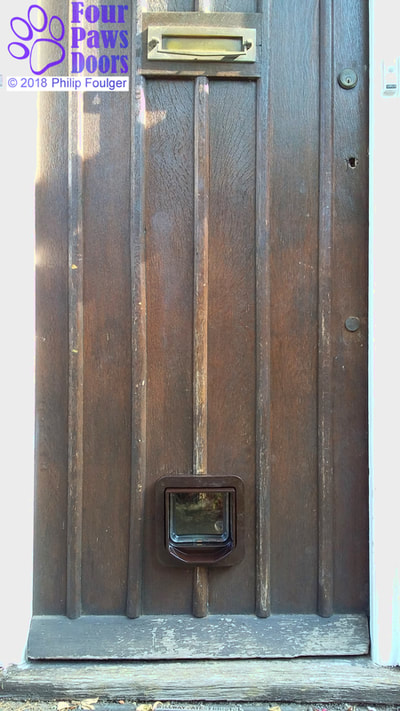 Cat flap in solid wooden front door