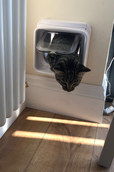 SureFlap microchip Cat Flap Connect in tight space