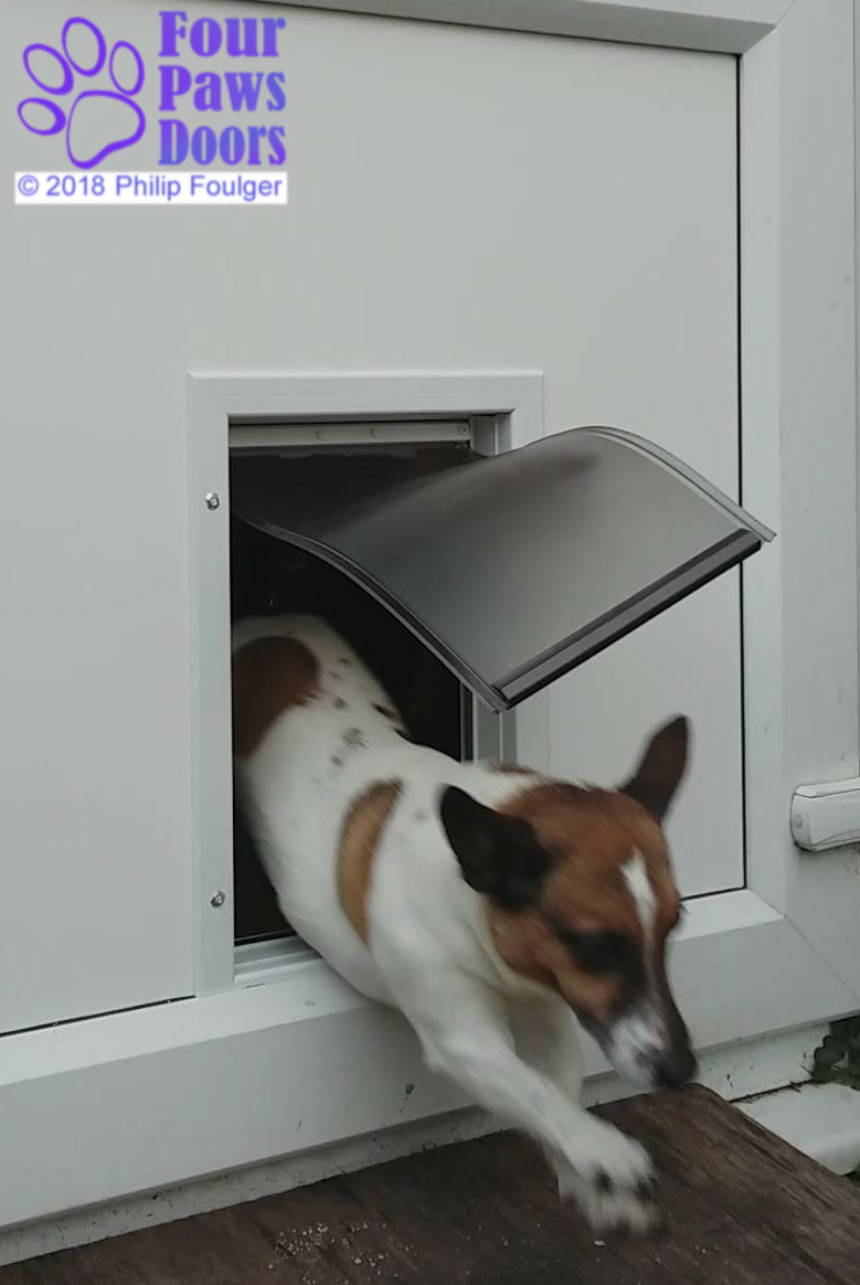 Dog flap in uPVC door panel