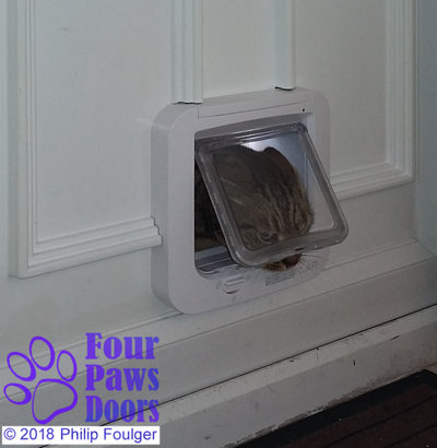 cat flap installed in decorative uPVC door panel